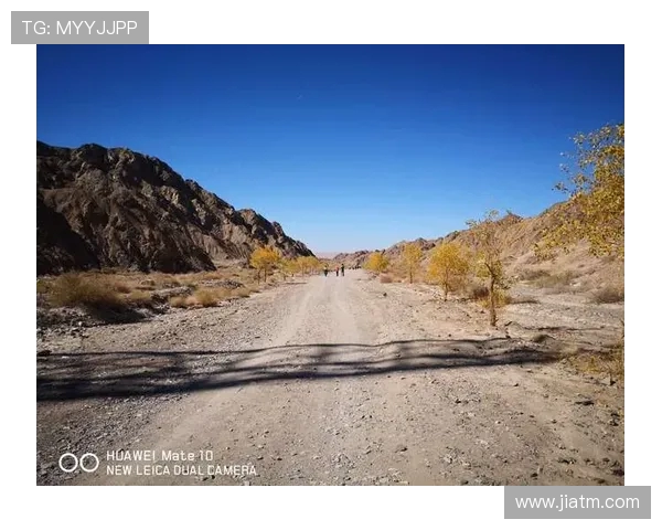 与杨芳畅谈滑板生涯的点滴与挑战探索她的梦想与坚持之路