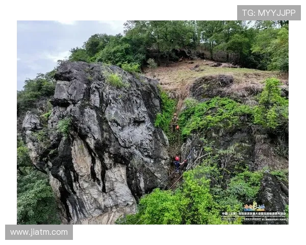 南京攀岩队状态分析与训练成果探讨聚焦攀岩运动发展新趋势
