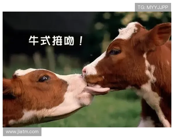 波特兰与小牛的精彩对决直播全程回顾与分析 波特兰与小牛的精彩对决直播全程回顾与分析