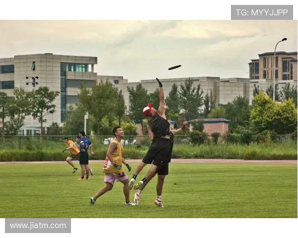 飞盘运动的魅力与挑战周磊分享个人成长与职业生涯经历